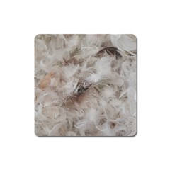 Down Comforter Feathers Goose Duck Feather Photography Square Magnet by yoursparklingshop