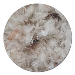 Down Comforter Feathers Goose Duck Feather Photography Magnet 5  (round) by yoursparklingshop