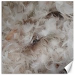 Down Comforter Feathers Goose Duck Feather Photography Canvas 16  x 16   15.2 x15.41  Canvas - 1