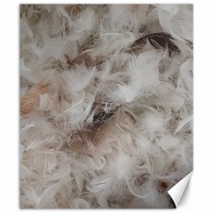 Down Comforter Feathers Goose Duck Feather Photography Canvas 20  X 24   by yoursparklingshop