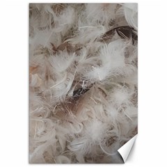 Down Comforter Feathers Goose Duck Feather Photography Canvas 20  X 30   by yoursparklingshop