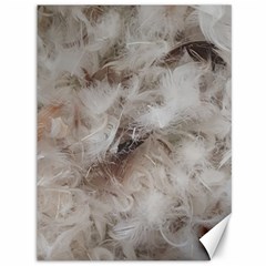 Down Comforter Feathers Goose Duck Feather Photography Canvas 36  X 48   by yoursparklingshop