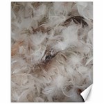 Down Comforter Feathers Goose Duck Feather Photography Canvas 11  x 14   10.95 x13.48  Canvas - 1