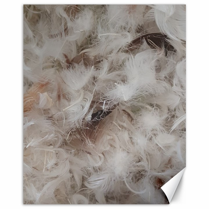 Down Comforter Feathers Goose Duck Feather Photography Canvas 11  x 14  