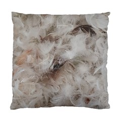 Down Comforter Feathers Goose Duck Feather Photography Standard Cushion Case (two Sides) by yoursparklingshop