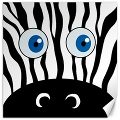 Blue Eye Zebra Canvas 12  X 12   by Valentinaart