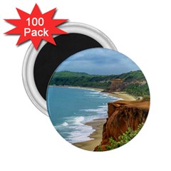 Aerial Seascape Scene Pipa Brazil 2 25  Magnets (100 Pack)  by dflcprints