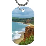 Aerial Seascape Scene Pipa Brazil Dog Tag (Two Sides) Front