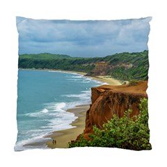 Aerial Seascape Scene Pipa Brazil Standard Cushion Case (one Side) by dflcprints