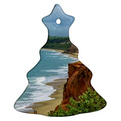 Aerial Seascape Scene Pipa Brazil Ornament (christmas Tree) by dflcprints