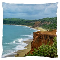 Aerial Seascape Scene Pipa Brazil Standard Flano Cushion Case (one Side) by dflcprints