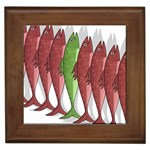 Mackerel military 2 Framed Tiles Front