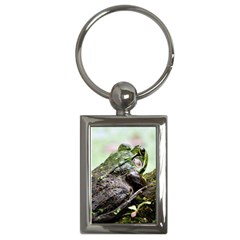 Frog Key Chain (rectangle)