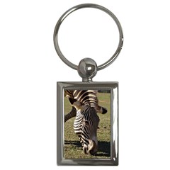 Zebra Key Chain (rectangle)