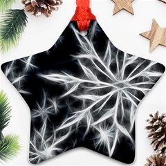 Snowflake In Feather Look, Black And White Ornament (star) 