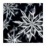 Snowflake in feather look, black and white Medium Glasses Cloth Front