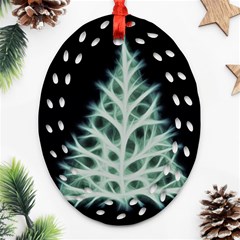 Christmas Fir, Green And Black Color Oval Filigree Ornament (2-side)  by picsaspassion