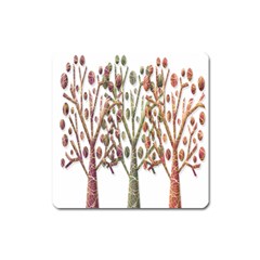 Magical Autumn Trees Square Magnet by Valentinaart