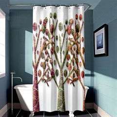 Magical Autumn Trees Shower Curtain 36  X 72  (stall)  by Valentinaart