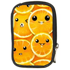 Cute Orange  Compact Camera Cases by Brittlevirginclothing