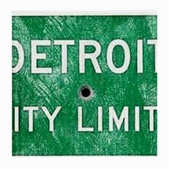 Detroit City Limits Medium Glasses Cloth