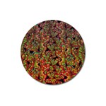 Red corals Magnet 3  (Round) Front