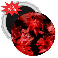 Red Flower  3  Magnets (10 Pack)  by Brittlevirginclothing