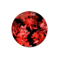 Red Flower  Magnet 3  (round) by Brittlevirginclothing