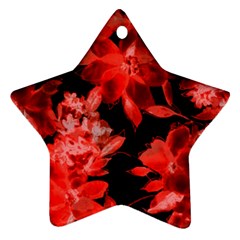 Red Flower  Star Ornament (two Sides)  by Brittlevirginclothing