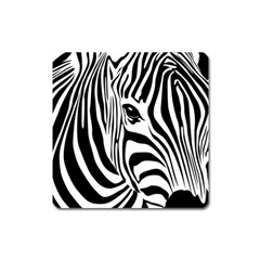 Animal Cute Pattern Art Zebra Square Magnet by Amaryn4rt