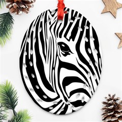 Animal Cute Pattern Art Zebra Ornament (oval Filigree)  by Amaryn4rt