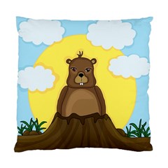 Groundhog Day  Standard Cushion Case (two Sides) by Valentinaart