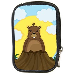 Groundhog Day  Compact Camera Cases by Valentinaart