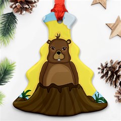 Groundhog Day  Ornament (christmas Tree) by Valentinaart