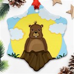 Groundhog day  Snowflake Ornament (2-Side) Front