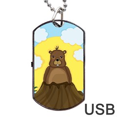 Groundhog Day  Dog Tag Usb Flash (one Side) by Valentinaart