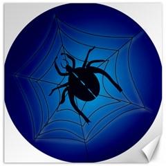 Spider On Web Canvas 16  X 16   by Amaryn4rt