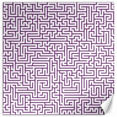 Maze Lost Confusing Puzzle Canvas 20  X 20  