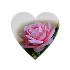 Rose Pink Flowers Pink Saturday Heart Magnet by Amaryn4rt