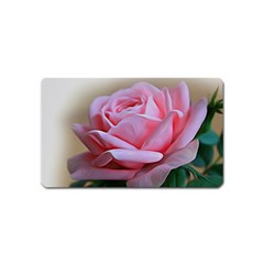 Rose Pink Flowers Pink Saturday Magnet (name Card) by Amaryn4rt