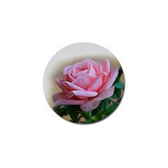 Rose Pink Flowers Pink Saturday Golf Ball Marker by Amaryn4rt