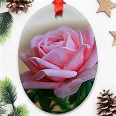 Rose Pink Flowers Pink Saturday Oval Ornament (two Sides) by Amaryn4rt