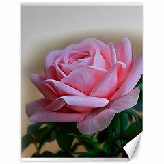 Rose Pink Flowers Pink Saturday Canvas 12  X 16   by Amaryn4rt