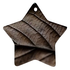 Leaf Veins Nerves Macro Closeup Ornament (star)  by Amaryn4rt