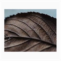 Leaf Veins Nerves Macro Closeup Small Glasses Cloth by Amaryn4rt