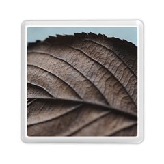 Leaf Veins Nerves Macro Closeup Memory Card Reader (square)  by Amaryn4rt