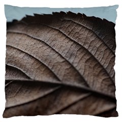 Leaf Veins Nerves Macro Closeup Large Flano Cushion Case (two Sides) by Amaryn4rt