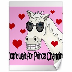 Don t Wait For Prince Charming Canvas 18  X 24   by Valentinaart