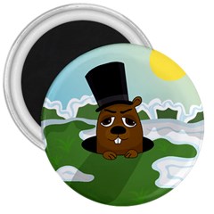 Groundhog 3  Magnets by Valentinaart