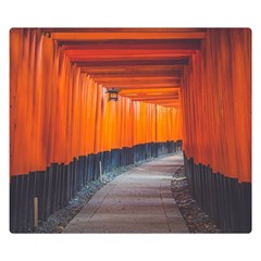 Architecture Art Bright Color Double Sided Flano Blanket (small) 